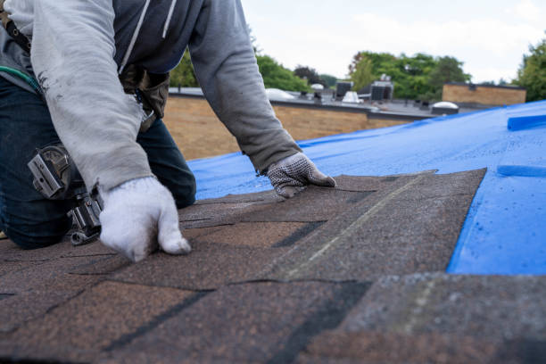 Best Storm Damage Roof Repair  in Williamstown, WV