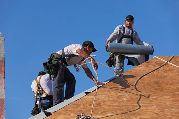 Best Local Roofing Companies  in Williamstown, WV