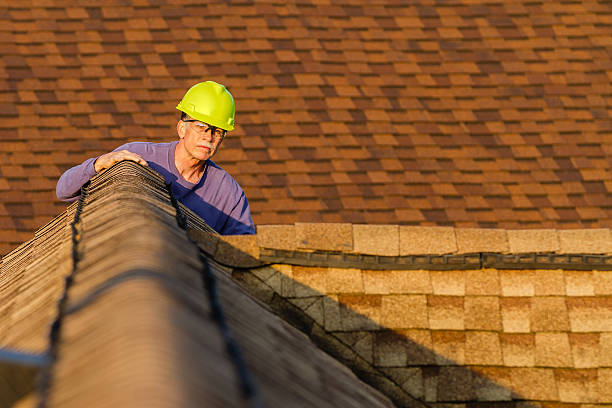 Best Roof Maintenance Services  in Williamstown, WV