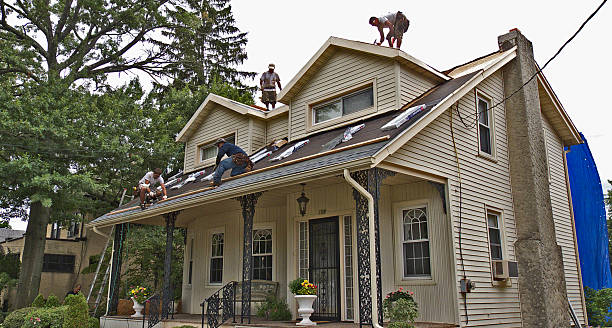 Best Residential Roofing Contractor  in Williamstown, WV