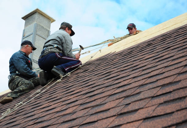 Best Metal Roofing Contractor  in Williamstown, WV